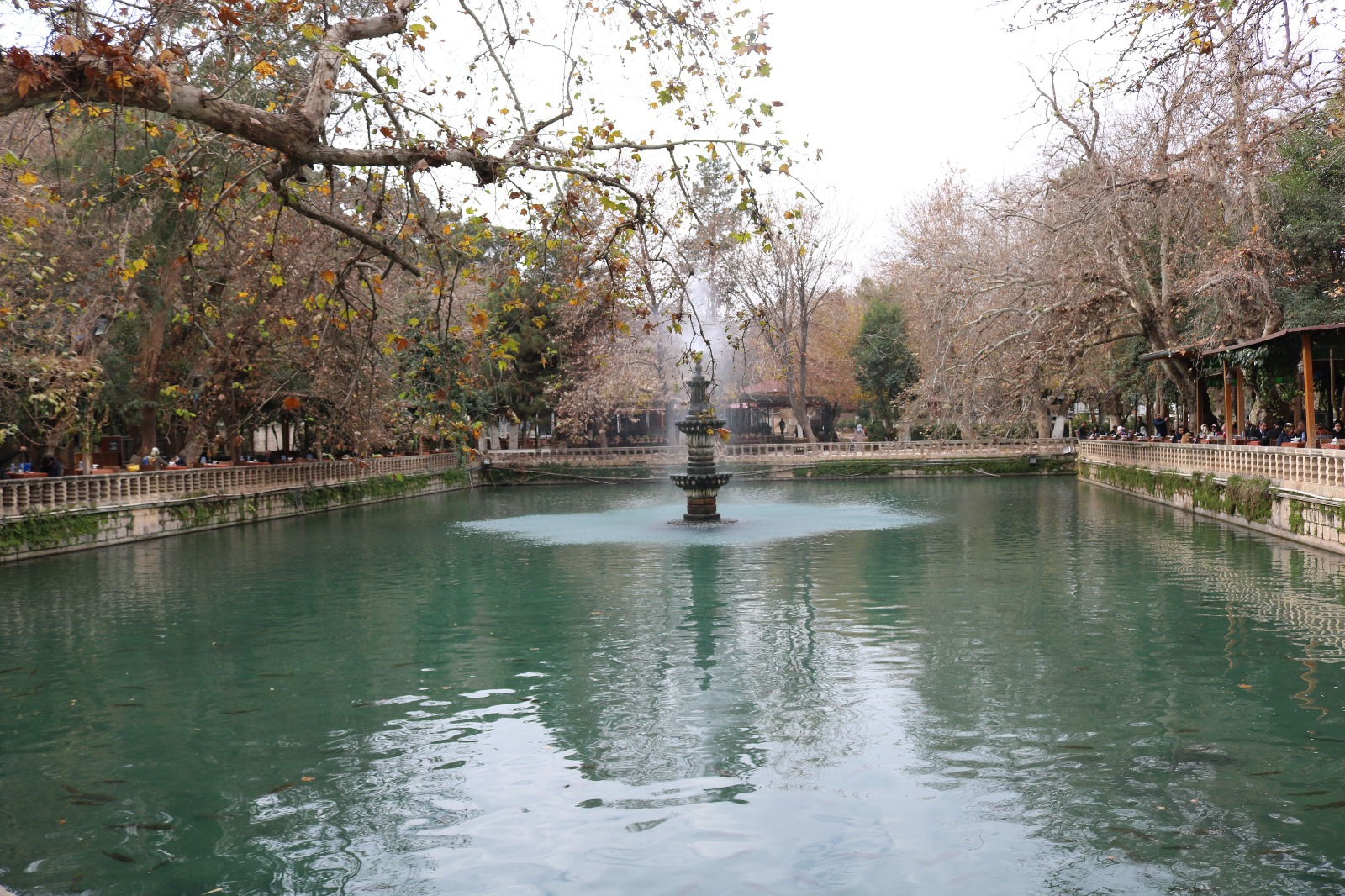 Fotoğraflarla Balıklıgöl (Gola Masiya)